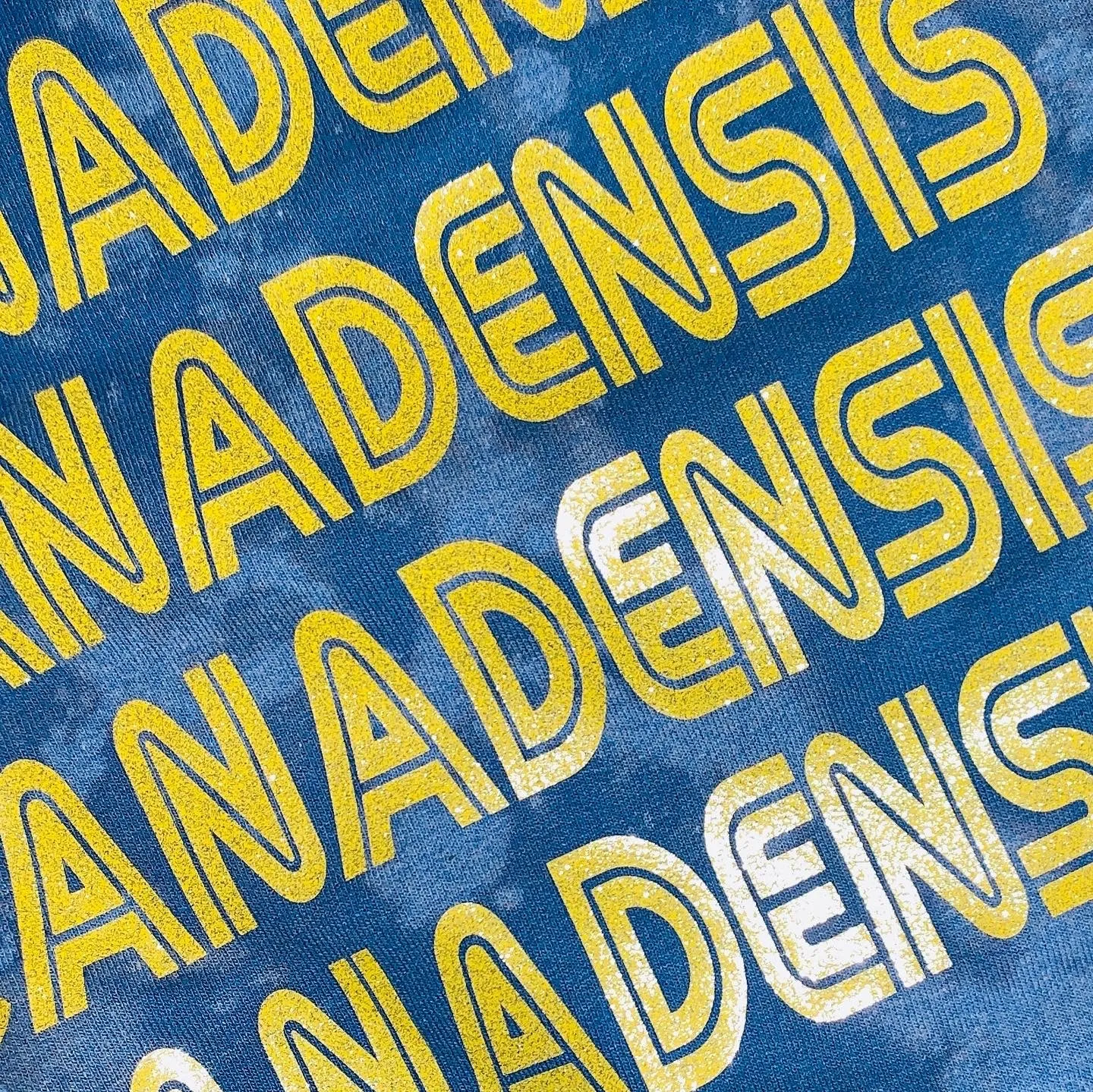 Camp Retro Bleached Out Sweatpants