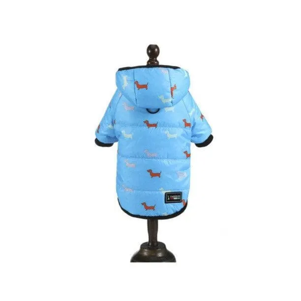Charlie Dachshund Winter Coat