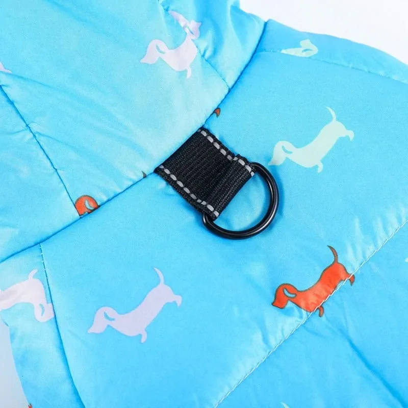 Charlie Dachshund Winter Coat