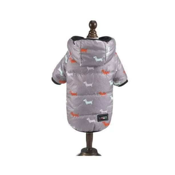 Charlie Dachshund Winter Coat