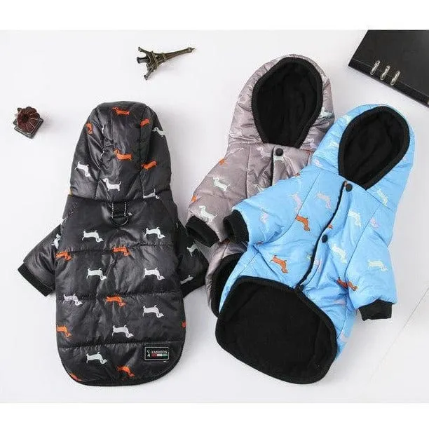 Charlie Dachshund Winter Coat