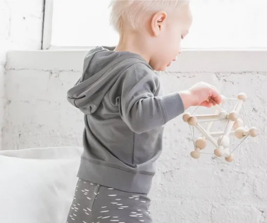 Colored Organics - Madison Hooded Pullover in Pewter