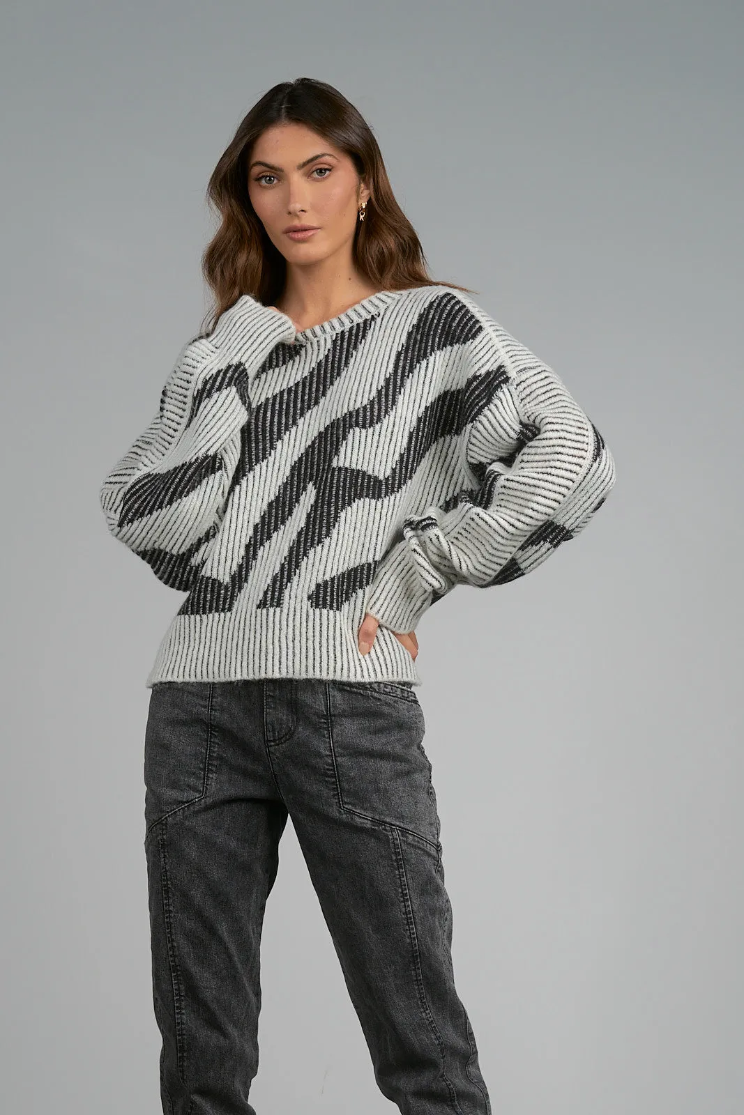 Zebra Print Sweater
